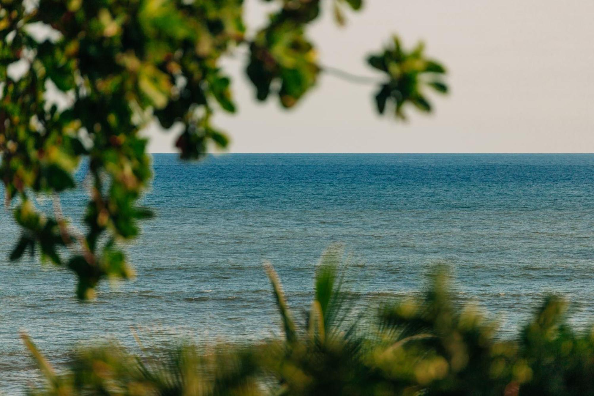 Puro Surf Hotel Эль-Сонте Экстерьер фото