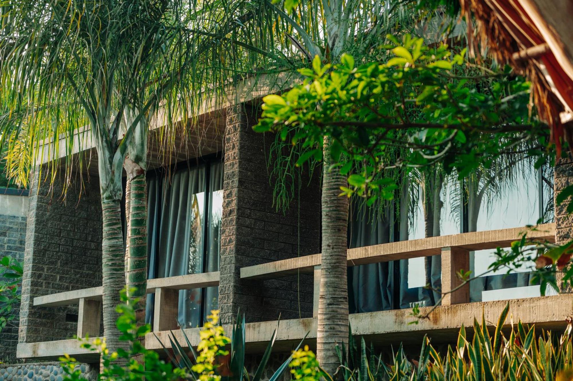 Puro Surf Hotel Эль-Сонте Экстерьер фото